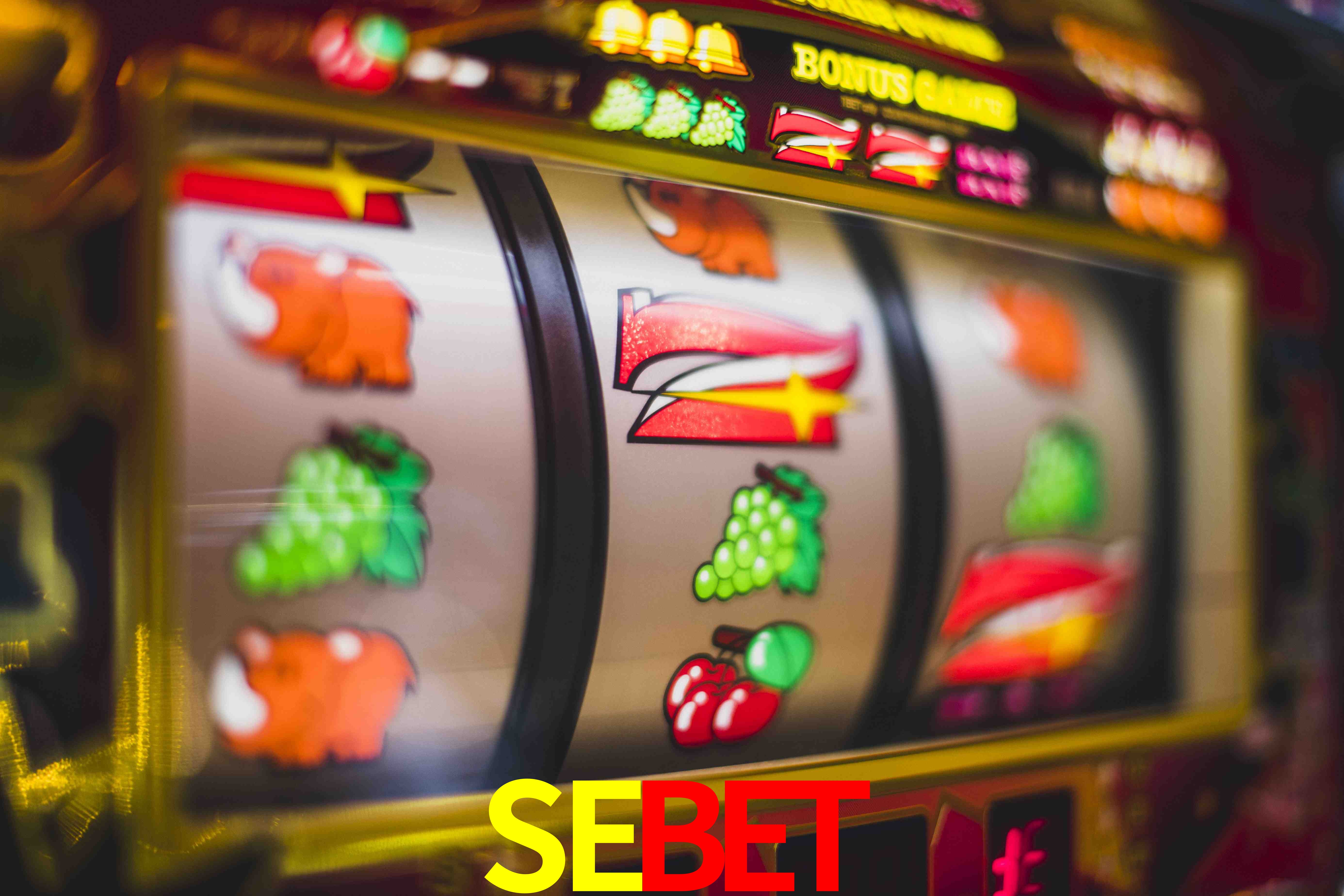 Live Casino SEBET